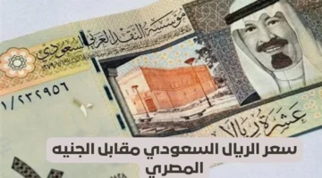 تغيرات أسعار صرف الريال السعودي في البنوك المصرية يوم الإثنين 13 يوليو